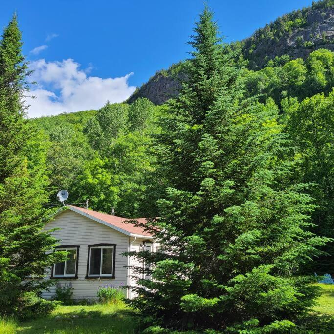 Вілла Chalet Falaise By Chalets Nabu Сент-Алексі-де-Мон Екстер'єр фото