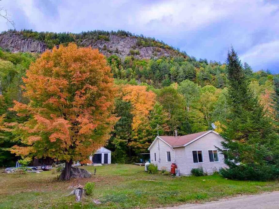 Вілла Chalet Falaise By Chalets Nabu Сент-Алексі-де-Мон Екстер'єр фото